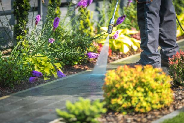 Reliable Bement, IL Pressure Washing Services Solutions